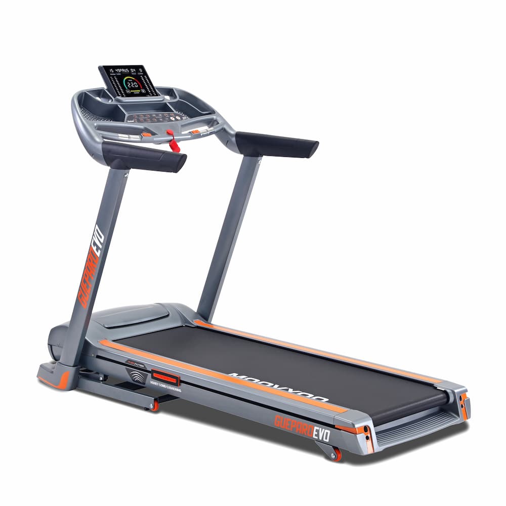 Tapis de course Guépard EVO